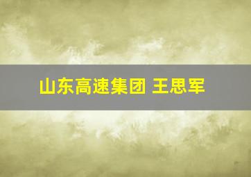 山东高速集团 王思军